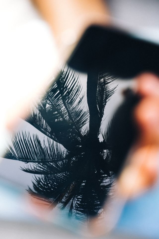 a blurred profile photo clearing as you chat